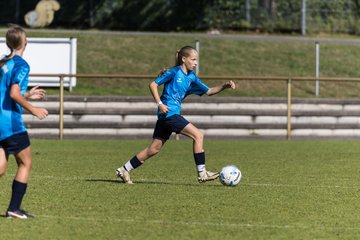 Bild 190 - wBJ TuS Rotenhof - Holstein Kiel : Ergebnis: 1:4